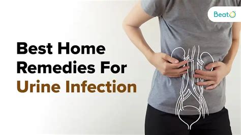 7 Effective Home Remedies For Urine Infection You Might Not Know Diabetes Blog