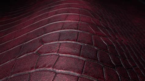 19 Maroon leather texture Stock Video Footage - 4K and HD Video Clips | Shutterstock