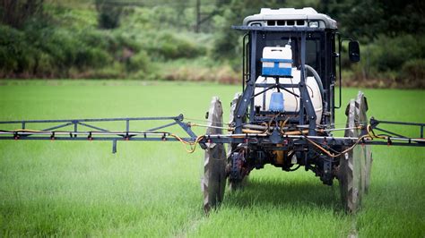 Fotos Conhe A Lavoura De Arroz Especial Uol Economia