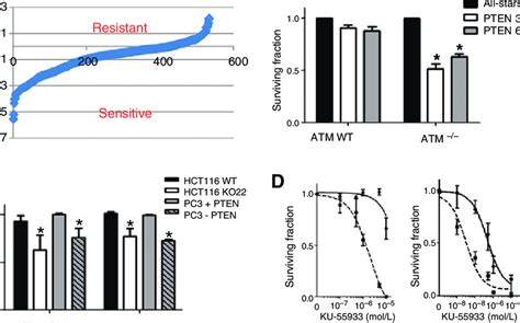 ATM Is A Potential Drug Target For PTEN Deficient Cells A Robust Z