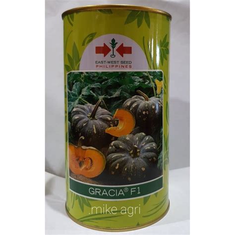 CAN EAST WEST GRACIA F1 SQUASH KALABASA 250 GRAMS Lazada PH