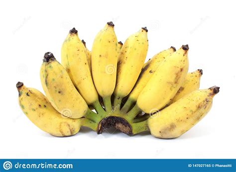 Cultivated Banana Isolated On White Background Ripe Cultivated Banana