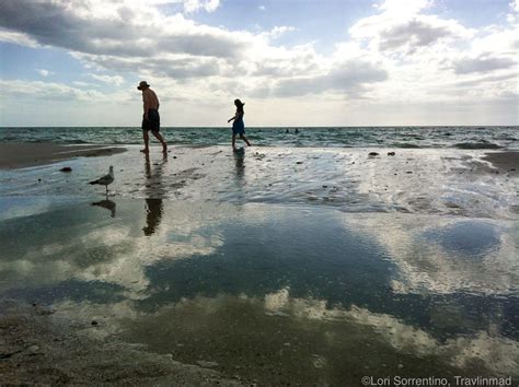 A Local S Guide To The Best Beaches In Naples Florida Artofit