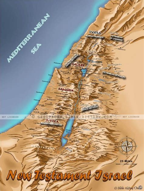 New Testament Israel Topo Color Map Dpi Year License Bible