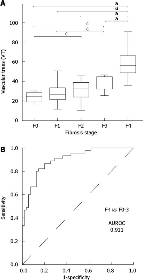 Figure 3 From Visualizing The Hepatic Vascular Architecture Using