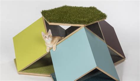 Des Cabanes Pour Les Chats Cr S Par Des Architectes Afin De R Colter