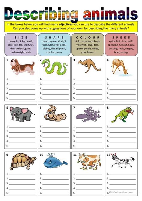 Describing animals (adjectives) | English lessons for kids, Teaching english, English activities