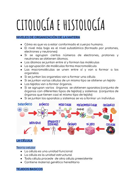 Cb Citologia E Histologia CitologÍa E HistologÍa Niveles De OrganizaciÓn De La Materia Cómo Es