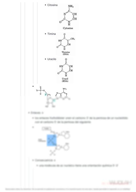 Solution Unidad Cidos Nucleicos Studypool