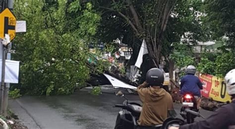 Hujan Dan Angin Kencang Sebabkan Satu Pengendara Motor Tertimpa Pohon