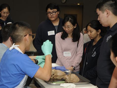 DeBakey High School for Health Professions Archives - Baylor College of ...