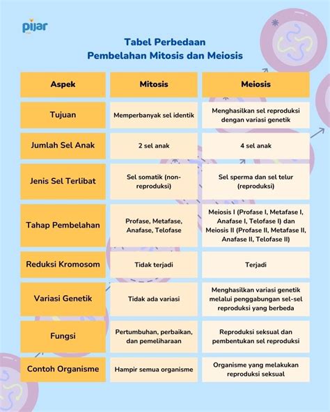 Pembelahan Sel Pengertian Tujuan Dan Macam Macamnya Pijar Article