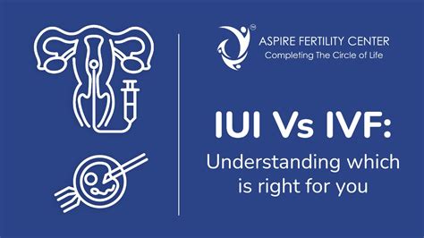 Iui Vs Ivf Understanding Which Is Right For You