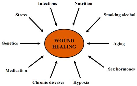 Life Free Full Text Cutaneous Wound Healing An Update From