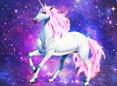 Real Unicorn Wallpaper