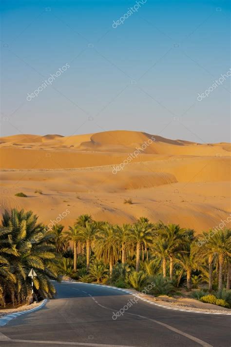 Desert dunes in Liwa oasis — Stock Photo © dvoevnore #119998424