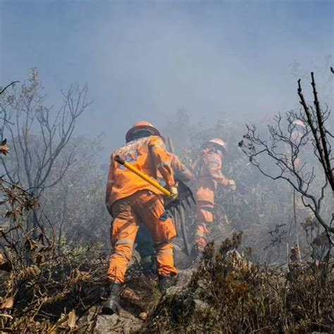 Multas Por Provocar Incendios Cu Nto Tendr Que Pagar Los Responsables