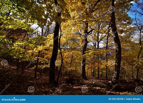 Mississippi Palisades State Park Illinois Fall Colors and Foliage at ...