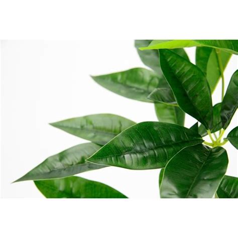 Flair Flower Plante Artificielle Schefflera Dans Un Pot Fleurs En