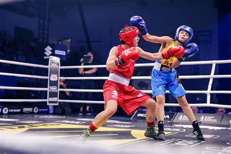 Suzuki Boxing Night 23 Cztery Efektowne Wygrane W Kolnie Sport