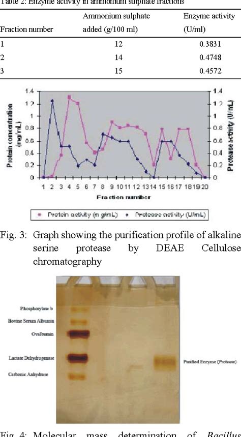 Pdf Production And Purification Of Alkaline Serine Protease From