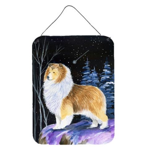 Carolines Treasures Ss8368ds1216 Starry Night Sheltie Wall Or Door Hanging Prin 16hx12w Smith