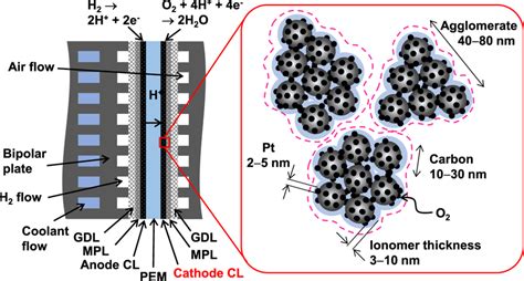 Schematic Of Pefc And Cathode Cl Pem Mpl And Gdl Denote The Proton