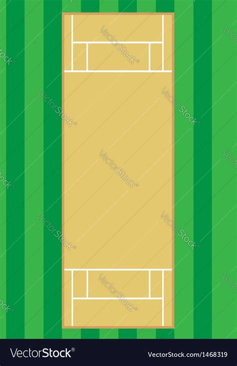 Cricket pitch Royalty Free Vector Image - VectorStock