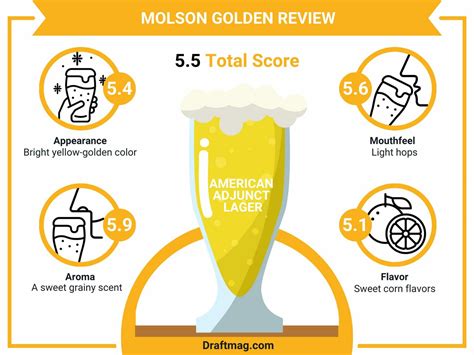 Molson Golden Review: Is This Adjunct Lager Worthy of Purchase?