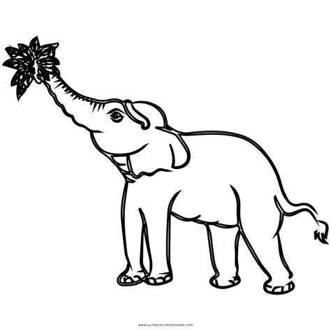 Dibujo De Elefante Para Colorear Ultra Coloring Pages Images And Photos Finder