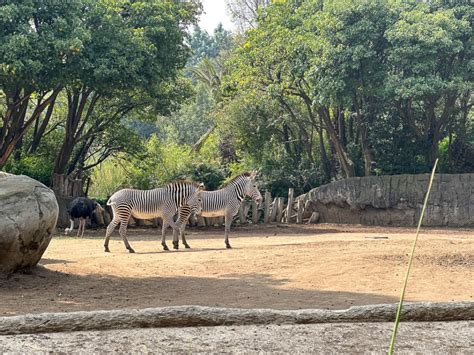 Travel: Chapultepec Zoo — 3ten — a lifestyle blog