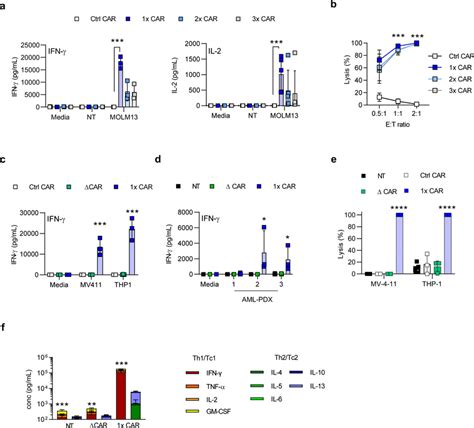 Grp78 Car T Cells Target Aml Cells Expressing Cell Surface Grp78 In