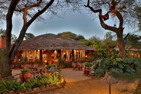 Kibo Safari Camp In Amboseli Best Rates Deals On Orbitz