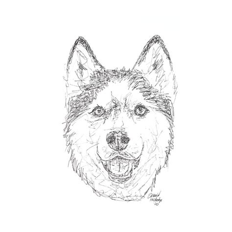 Husky Dog Pen Drawing Sketch - Etsy | Husky drawing, Sketches, Drawings