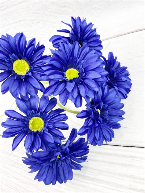 Dark Blue Paris Daisy Bush Keleas Florals