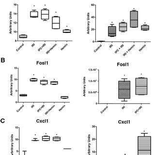 Validation Of Microarray Results By Qrt Pcr Analysis Expression Of The