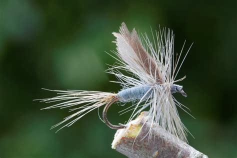 How To Pick The Best Fly For Fly Fishing - Farmers' Almanac