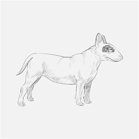 Style De Dessin D Illustration De Chien Vecteur Premium