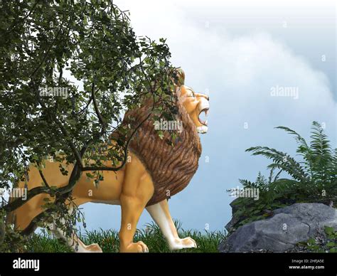 African lion in the savannah Stock Photo - Alamy