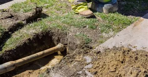 How Much Does Trenchless Sewer Repair Cost In Colorado