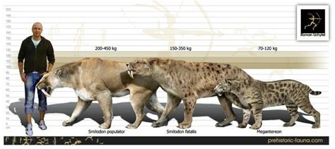 Size Prehistoric World, Prehistoric Creatures, Era Glacial, Smilodon ...