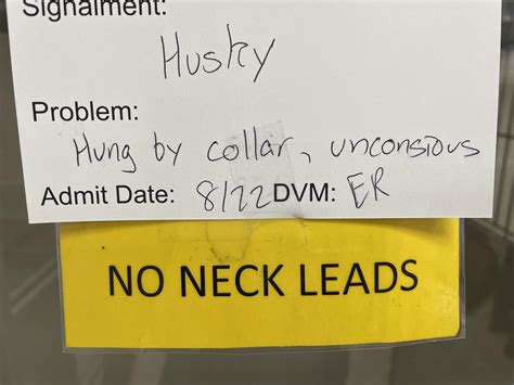 Faith in humanity restored… or not. : r/VetTech