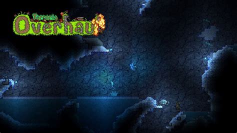 Tundra Biome Terraria