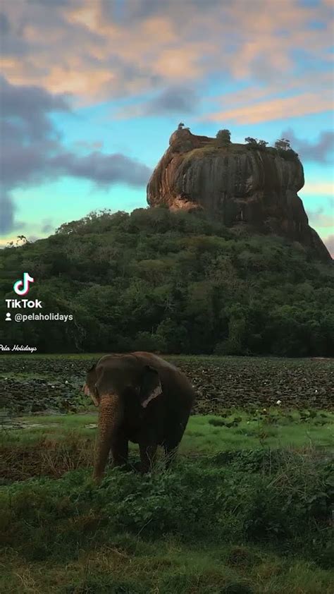 Sigiriya Lions Rock The Island Of Endless Wonders Youtube