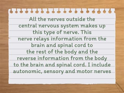 Structure And Functions Of The Nervous System Flash Cards