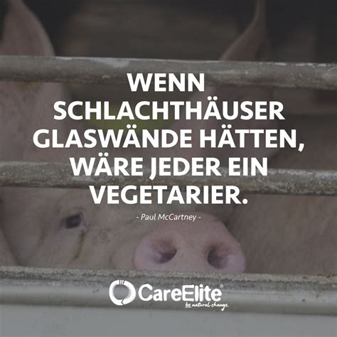 Tierschutz Zitate Inspirierende Spr Che Gegen Tierqu Lerei