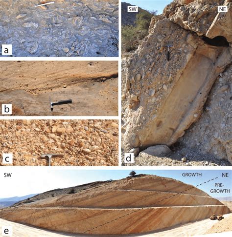 3 Photographs Of Typical Lithologies Of The Studied Sections A