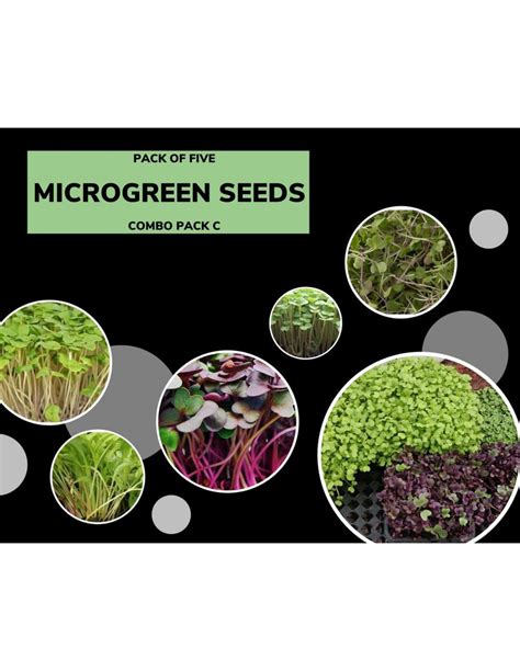 Microgreen Seeds-Combo Pack-C – GardenGuru