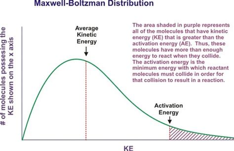 Physical 5 Kinetics Flashcards Quizlet