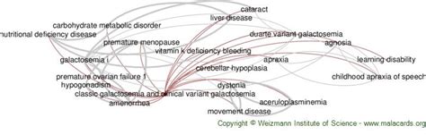 Classic Galactosemia And Clinical Variant Galactosemia Disease